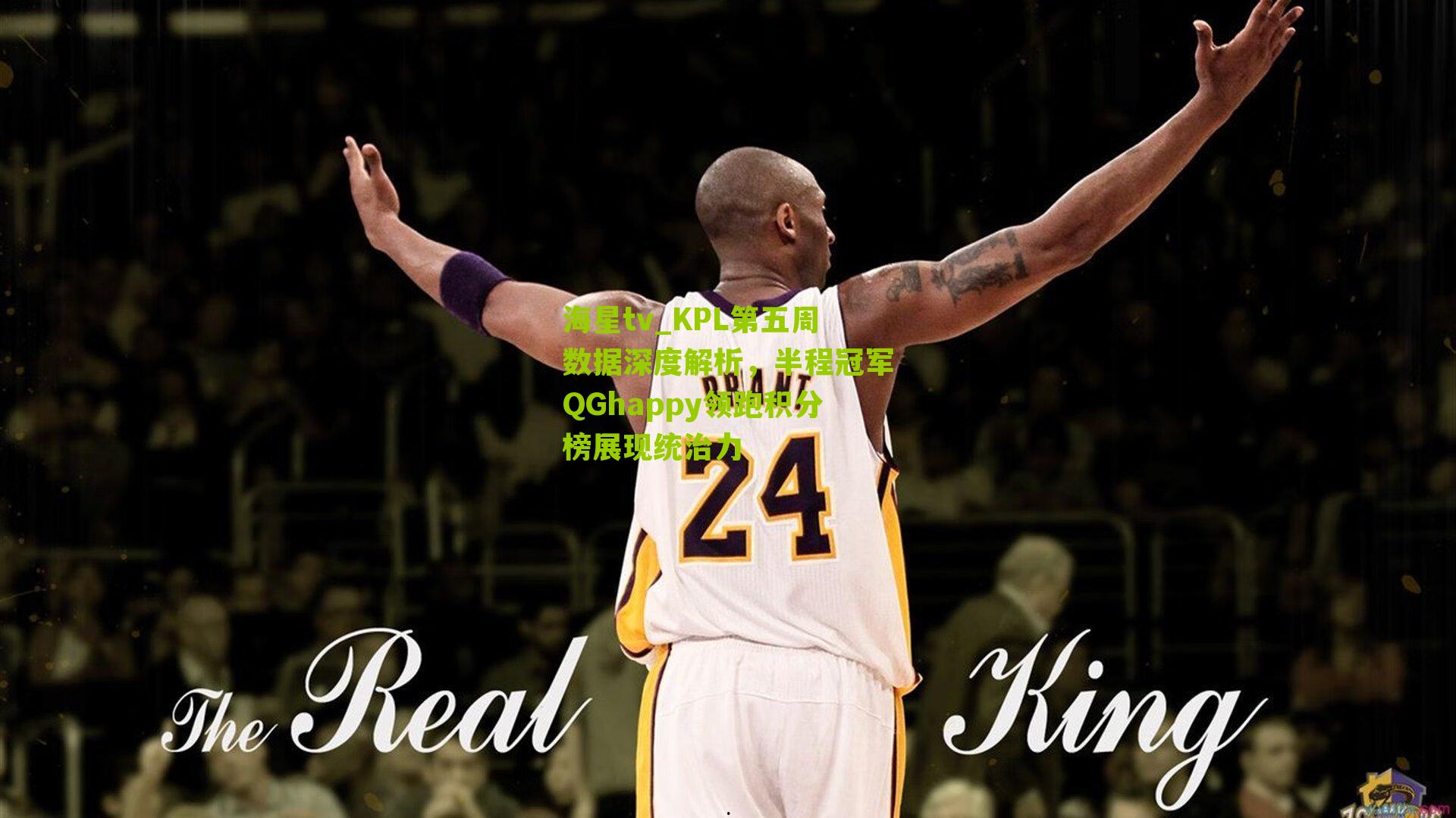 KPL第五周数据深度解析,半程冠军QGhappy领跑积分榜展现统治力