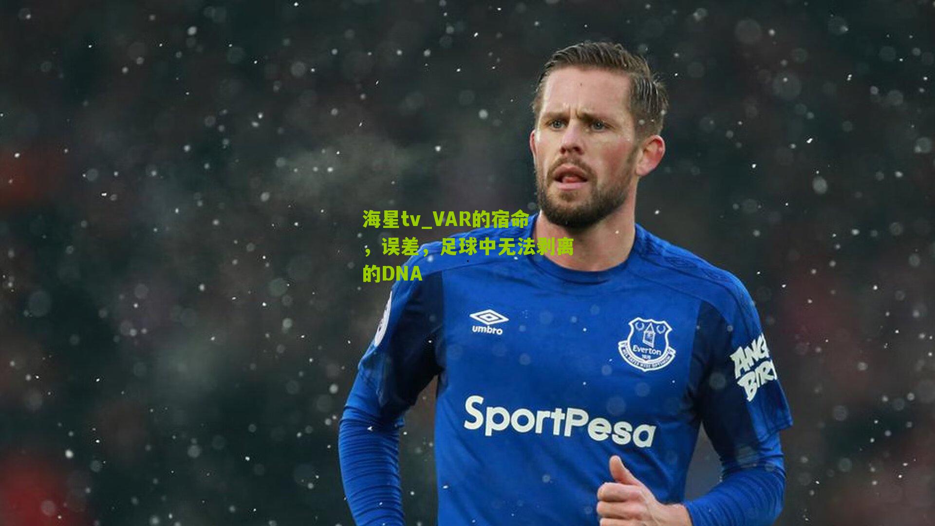 VAR的宿命，误差，足球中无法剥离的DNA