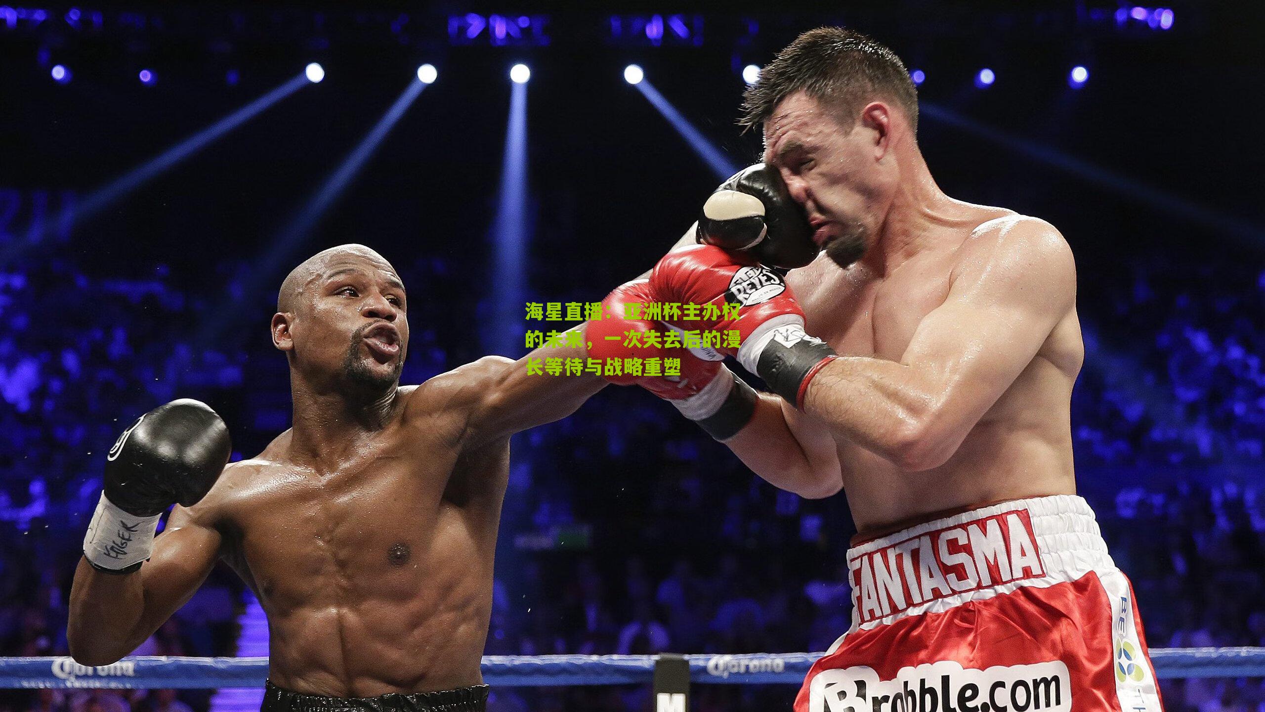 亚洲杯主办权的未来,一次失去后的漫长等待与战略重塑