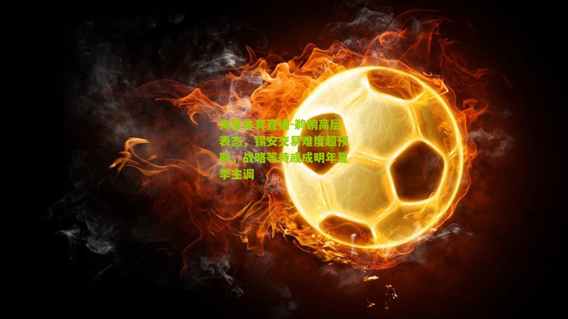 鹈鹕高层表态,锡安交易难度超预期,战略等待或成明年夏季主调