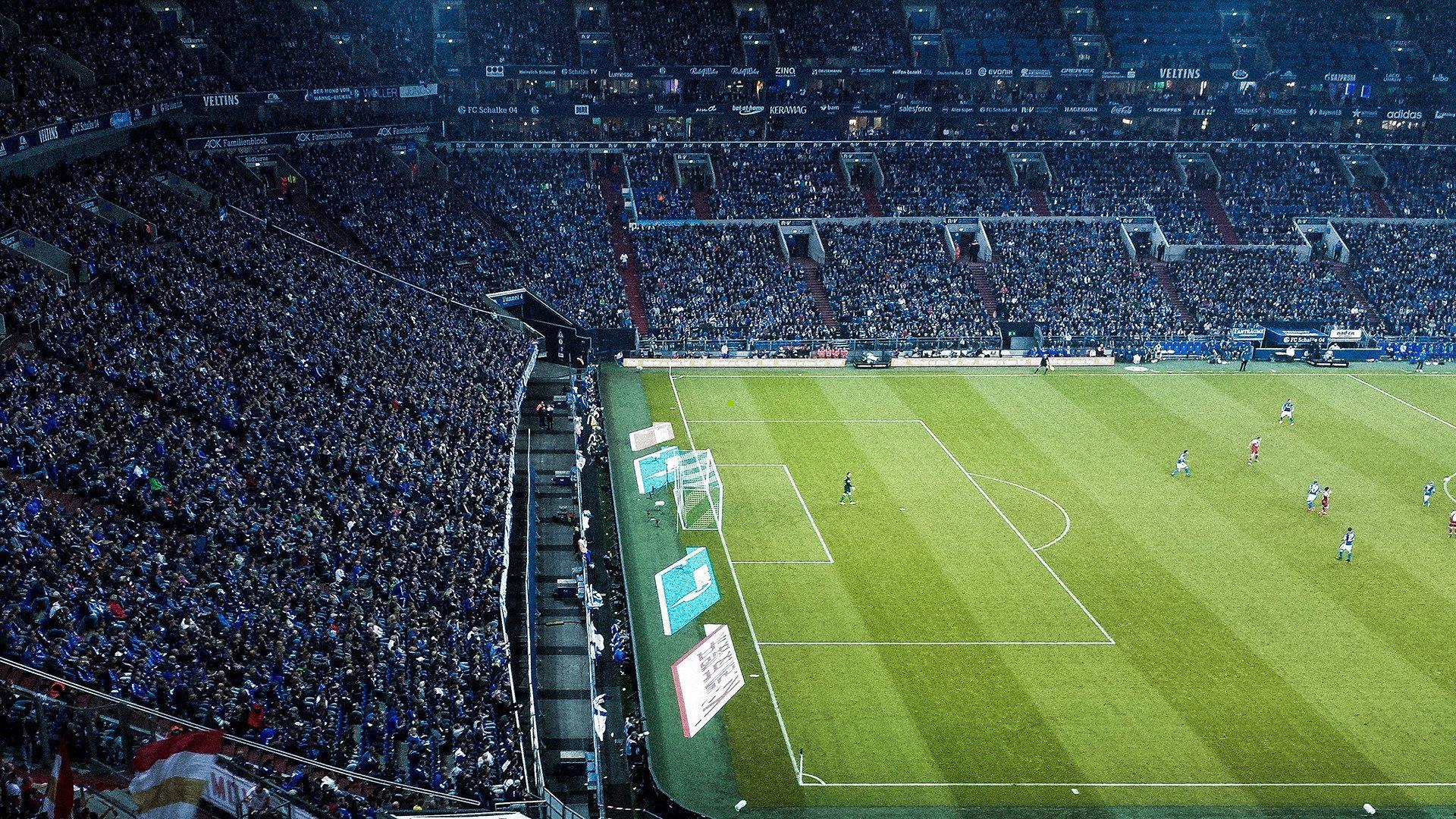 FIFA揭晓U17女足世界杯吉祥物，狞猫灵感源于摩洛哥本土物种