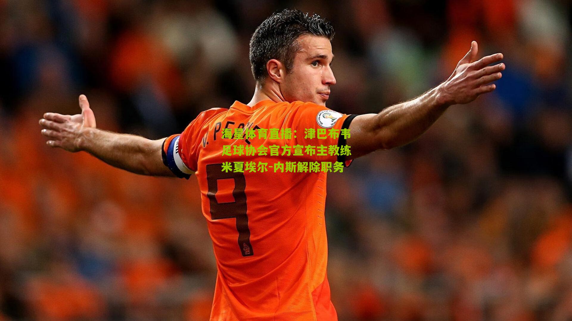 津巴布韦足球协会官方宣布主教练米夏埃尔-内斯解除职务