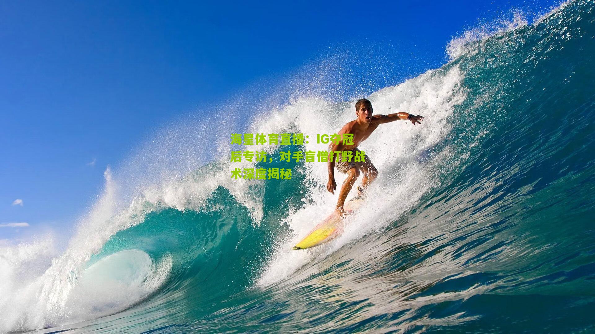 IG夺冠后专访，对手盲僧打野战术深度揭秘